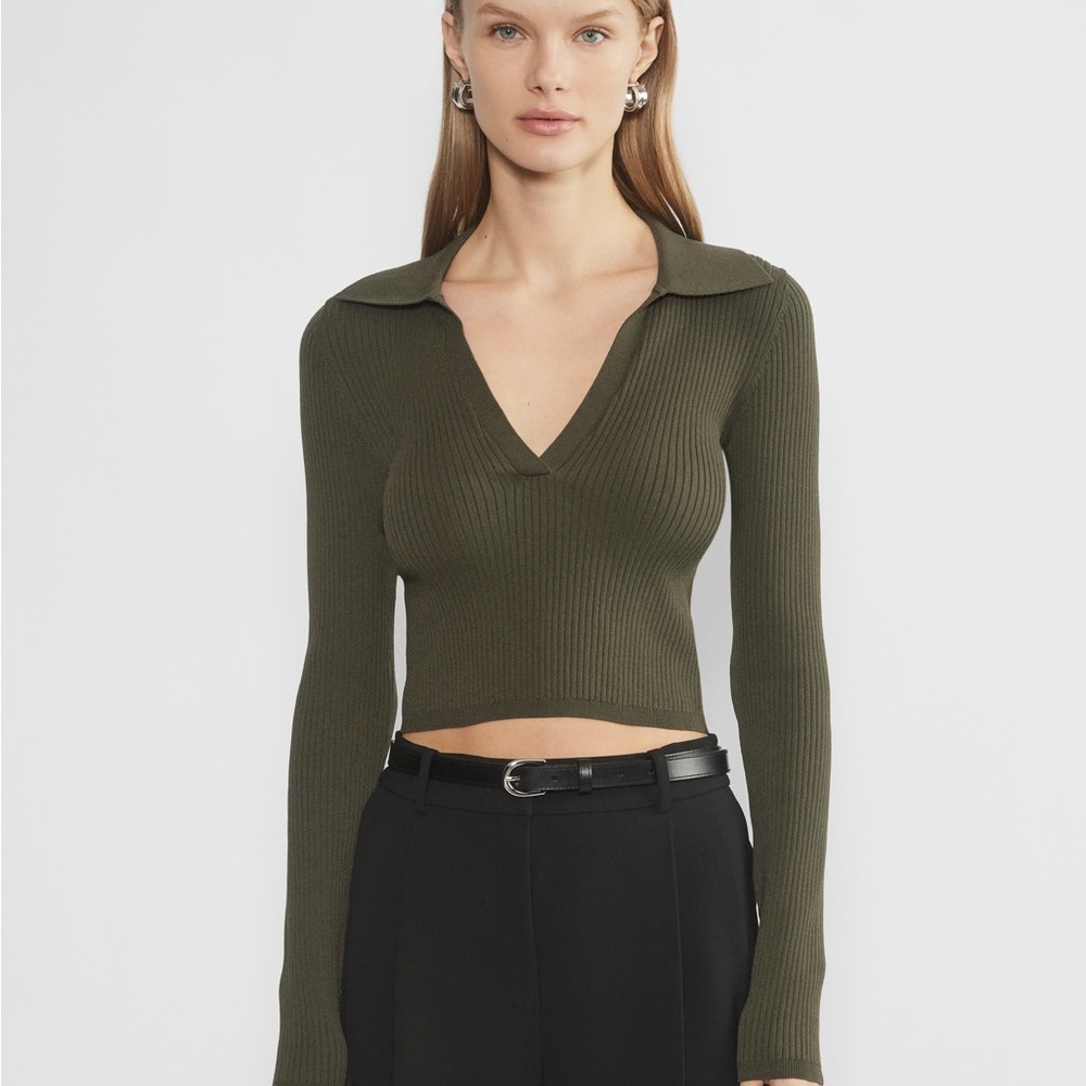 Aritzia Sculp Knit Polo